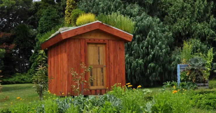 Un abri de jardin dans un parc avec de grands arbres en fond