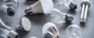 Différents types d'ampoules électriques posées sur une surface grise
