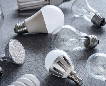Différents types d'ampoules électriques posées sur une surface grise