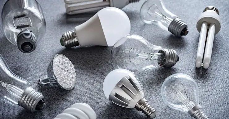 Différents types d'ampoules électriques posées sur une surface grise