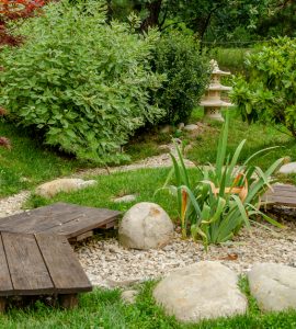 Petit jardin au style japonais