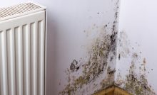 Problème de moisissure ou d'humidité sur le coin du mur, près du radiateur