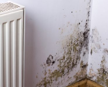 Problème de moisissure ou d'humidité sur le coin du mur, près du radiateur