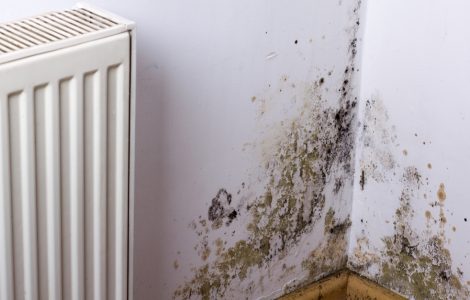 Problème de moisissure ou d'humidité sur le coin du mur, près du radiateur