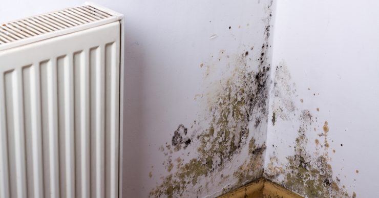 Problème de moisissure ou d'humidité sur le coin du mur, près du radiateur