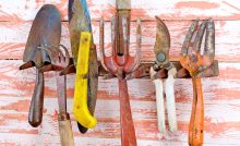 Un ensemble d'outils de jardin rouillés