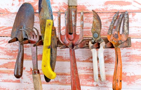 Un ensemble d'outils de jardin rouillés
