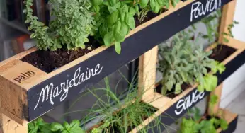 21 idées DIY pour fabriquer un carré potager en palette de bois