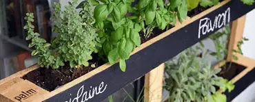 Un mini potager avec des palettes de bois