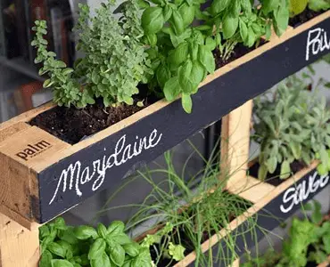 Un mini potager avec des palettes de bois