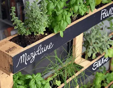 Un mini potager avec des palettes de bois