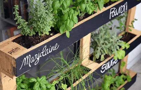 Un mini potager avec des palettes de bois