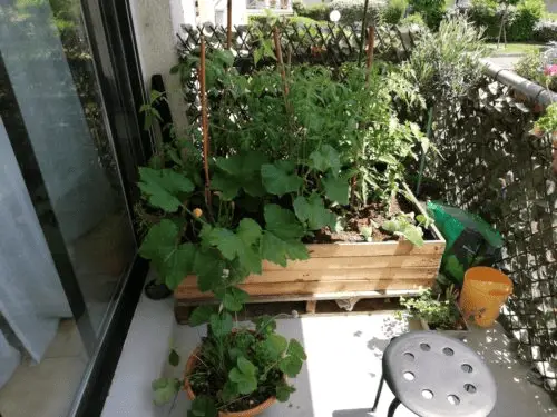 Une jardinière fabriquée avec une palette sur un balcon étroit