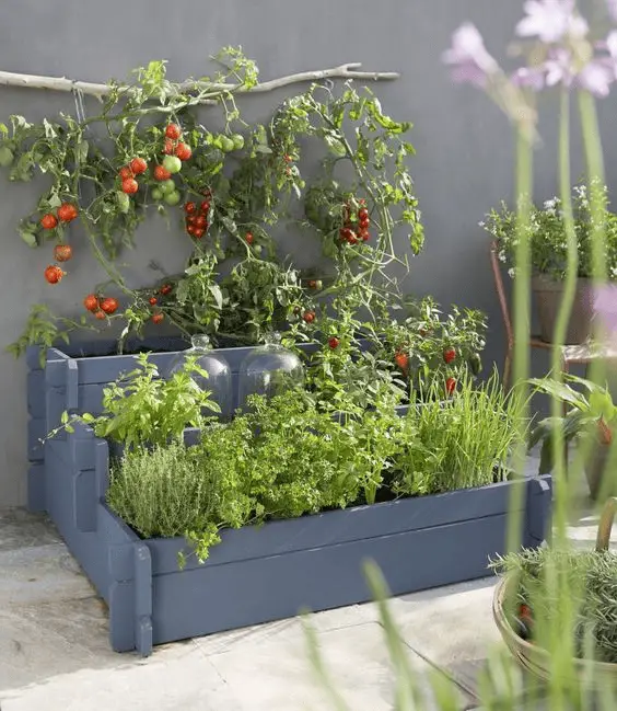 Une jardinière potagère sur trois niveaux en bois de palette