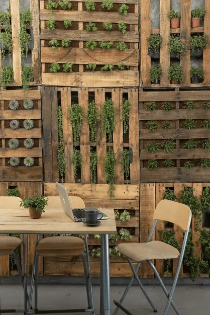 Un mur de palette pour cultiver de nombreuses plantes potagères sans perdre de place