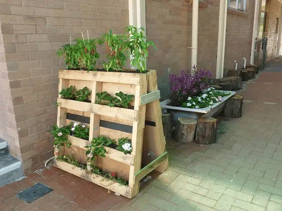 Deux palettes pour réaliser un potager vertical