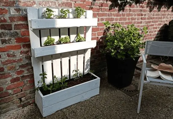 Un potager vertical avec une jardinière en palette