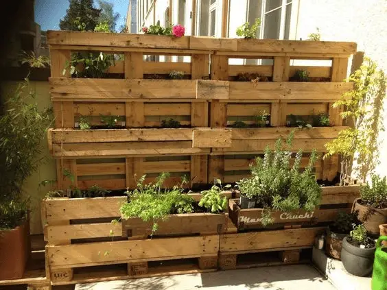 Un potager vertical en palette dans un petit jardin