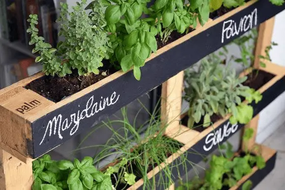 Un mini potager avec des palettes de bois