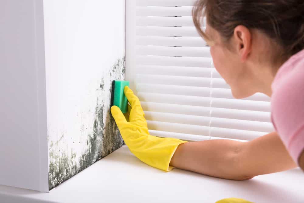 Si vous avez déjà des moisissures sur votre mur, n'hésitez pas à les nettoyer ! Ce geste évitera leur propagation