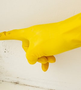 Une main dans un gant jaune pointant des traces noires sur le mur
