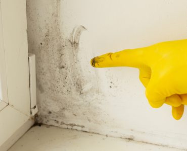 Une main dans un gant jaune pointant des traces noires sur le mur