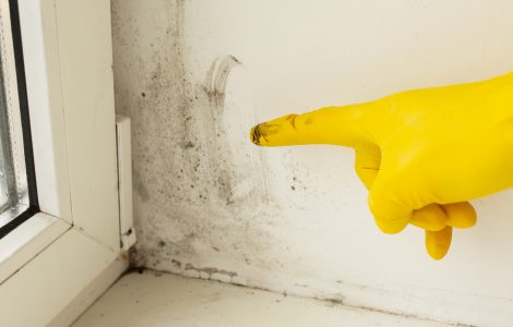 Une main dans un gant jaune pointant des traces noires sur le mur