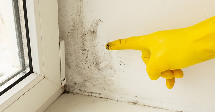 Une main dans un gant jaune pointant des traces noires sur le mur