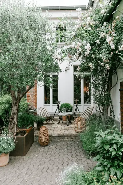 Un arbre et des fleurs en pot ont été ajoutés dans cette petite cour avant