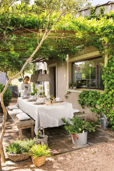 Une pergola végétale de houblon doré