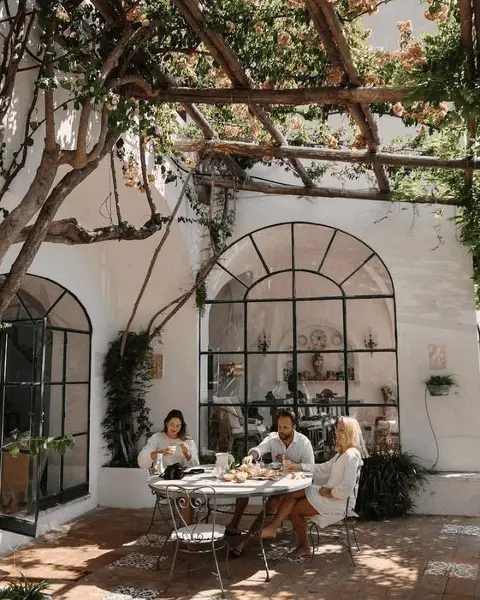 Un toit en rosier au-dessus d'une terrasse