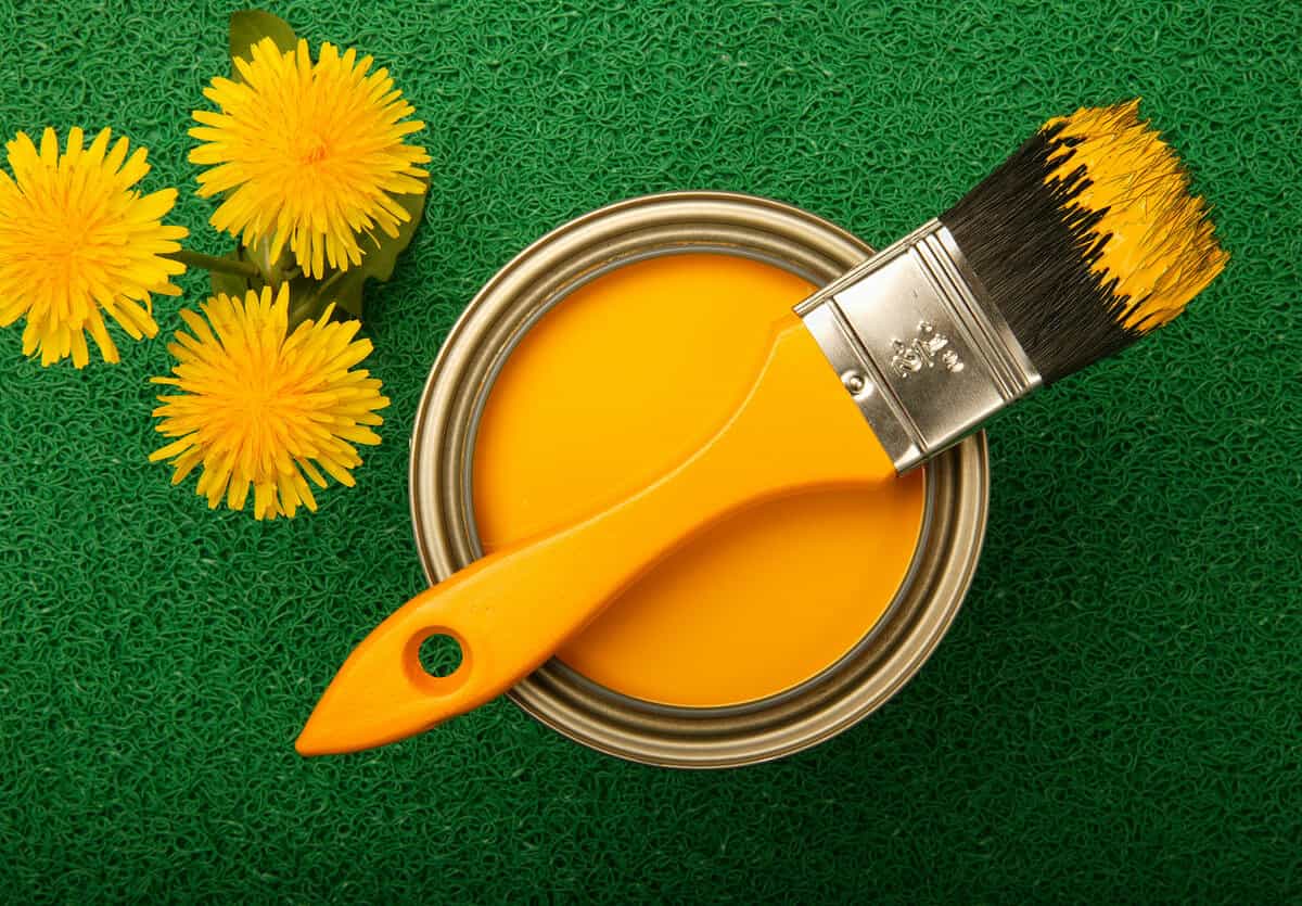Revêtements muraux naturels : zoom sur les peintures et enduits écologiques / Istock.com - YvanDube