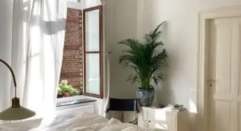 Comment augmenter la lumière naturelle dans son intérieur ? 7 solutions