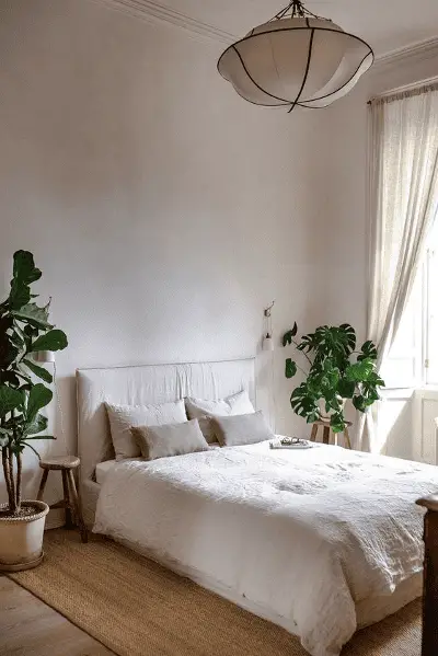 Deux grandes plantes vertes pour rehausser la déco de la chambre