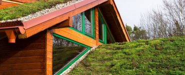 Vue sur la toiture végétale d’un bâtiment en bois