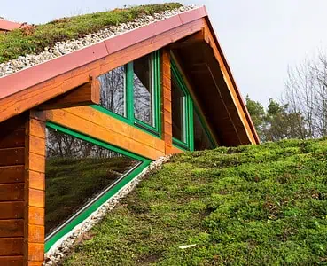 Vue sur la toiture végétale d’un bâtiment en bois