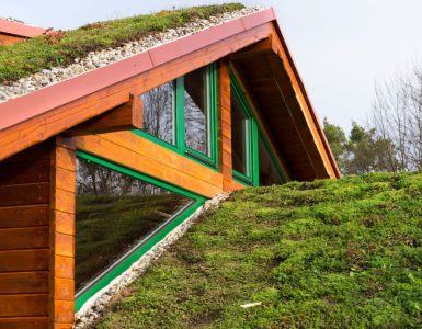 Vue sur la toiture végétale d’un bâtiment en bois