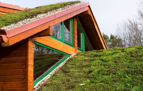 Vue sur la toiture végétale d’un bâtiment en bois