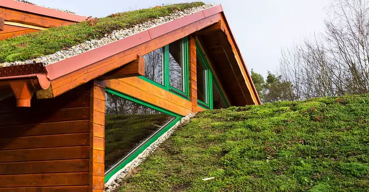 Vue sur la toiture végétale d’un bâtiment en bois