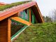 Vue sur la toiture végétale d’un bâtiment en bois