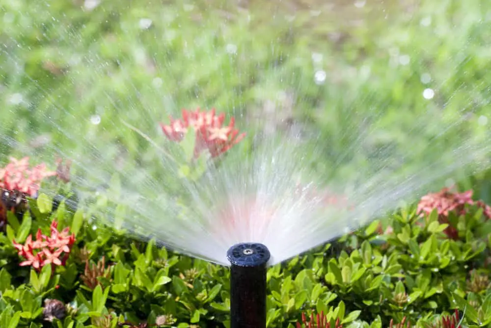 L'arrosage du jardin est un des plus gros postes de consommation d'eau potable. Un gaspillage qui peut être évité avec un récupérateur d'eau de pluie