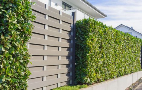 Un aménagement paysager moderne avec une haie