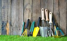 Différents outils de jardin posés sur une pelouse verte et un mur en bois