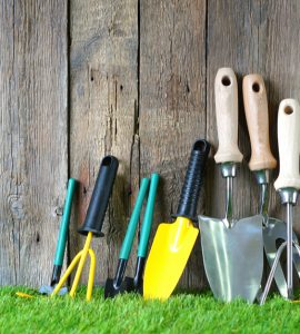 Différents outils de jardin posés sur une pelouse verte et un mur en bois