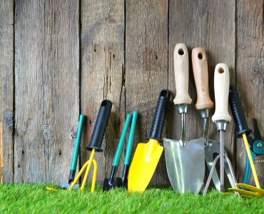 Différents outils de jardin posés sur une pelouse verte et un mur en bois