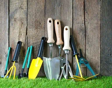 Différents outils de jardin posés sur une pelouse verte et un mur en bois