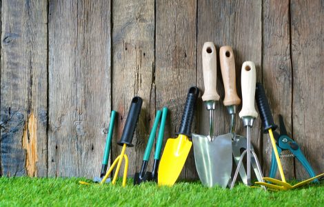 Différents outils de jardin posés sur une pelouse verte et un mur en bois