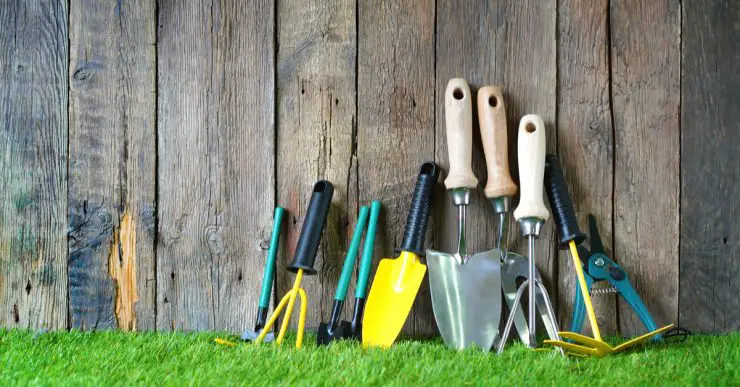 Différents outils de jardin posés sur une pelouse verte et un mur en bois