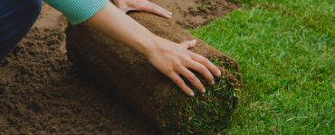 Zoom sur les mains d'une femme installant un rouleau de gazon dans le jardin