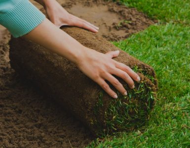 Zoom sur les mains d'une femme installant un rouleau de gazon dans le jardin